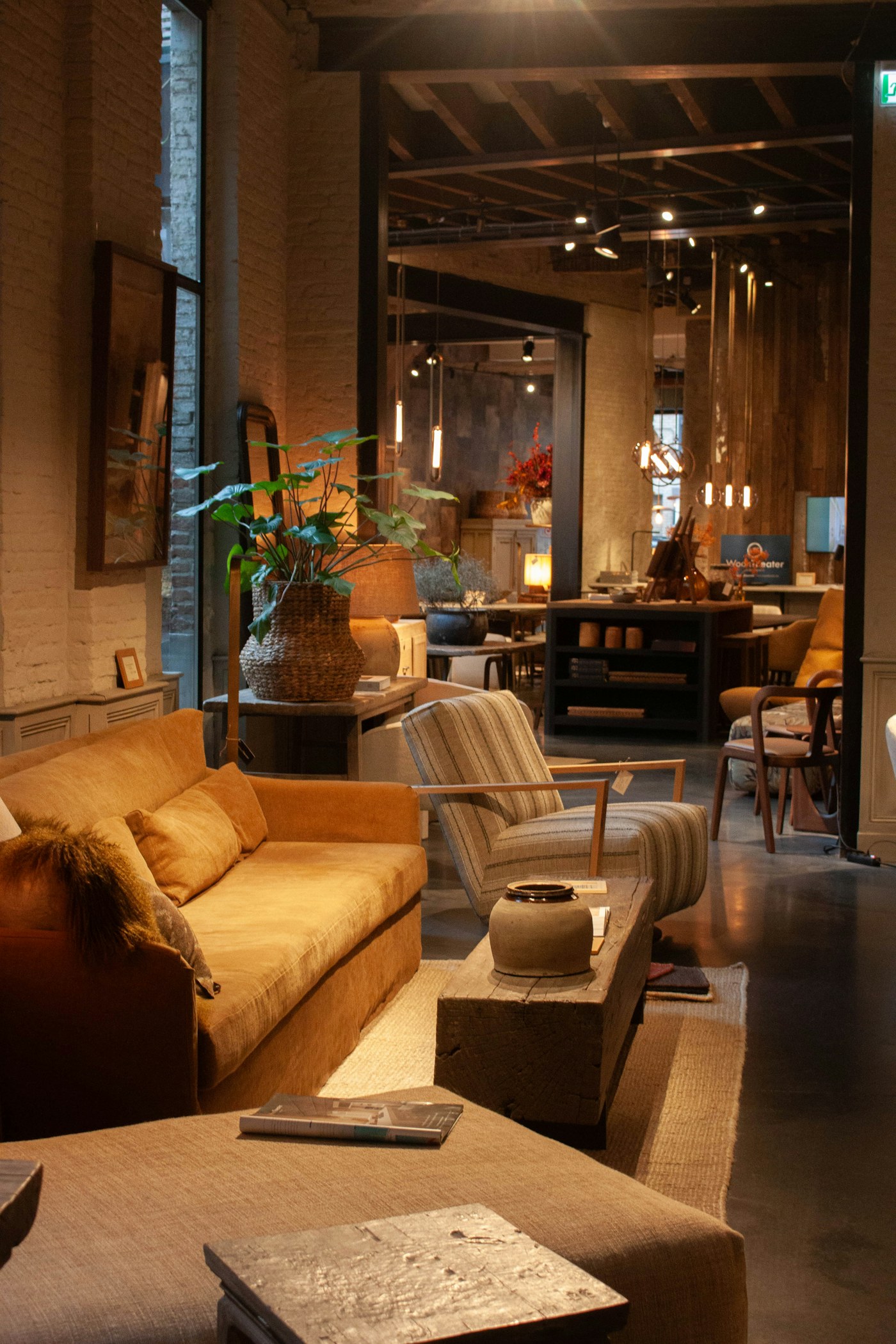 Warm furniture showroom interior